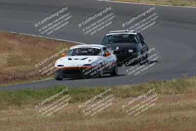 media/May-04-2024-Lucky Dog Racing (Sat) [[d39539b3f3]]/Race Pics/1015am (Turn 2)/